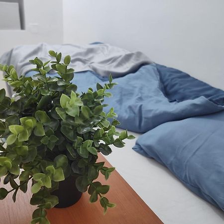 Old Town Bucharest- Shared Apartment Dış mekan fotoğraf