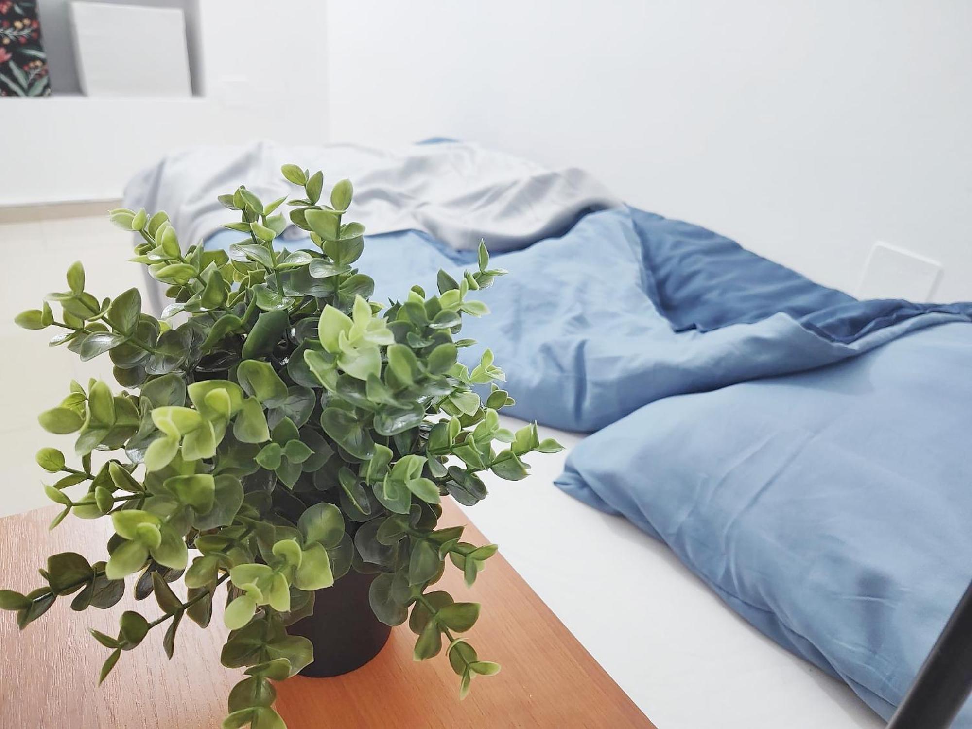 Old Town Bucharest- Shared Apartment Dış mekan fotoğraf